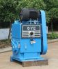 Rotary Piston Pump for...