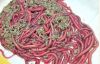 Sabloon Fishing Lures ...
