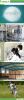 cassave citric acid, c...