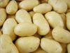 Fresh Potatoes (High Q...