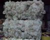 HDPE MILK BOTTLE SCRAP