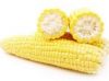 Maize