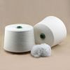 Ne 30s polyester spun ...