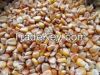 Bulgarian Corn