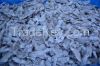 Frozen loligo squid
