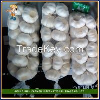 2015 New Crop Fresh Garlic packed in cartons