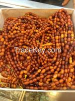 Antique natural baltic amber butterscotch beads 3620 grams 20000 USD