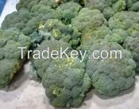 LE MARLIERE BROCCOLI