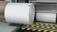 Newsprint Paper 45gsm, 50gsm, 55, Gsm