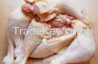 Frozen Chicken Feet