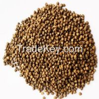 Floating Fish Feed For Tilapia, Catfish