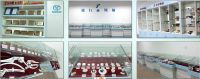 Yunsheng Kinds Of Musical Movement And