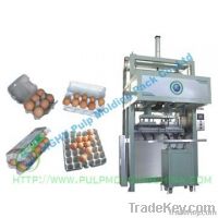 Pulp Molding