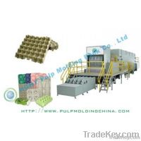 Egg Tray Equipment