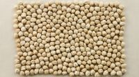 Top quality wholesale Australian organic chickpeas