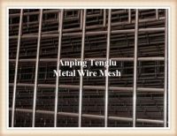 Hastelloy Alloy Wire Mesh/Alloy20 Wire