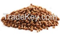 Buckwheat