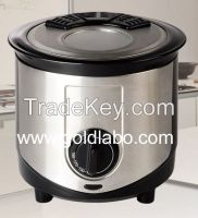 Electric Deep Fryer .9 Liter Stainless