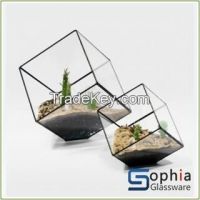 terrarium vases