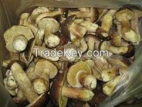 Sell Russia Frozen IQF Boletus