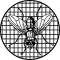 fly screening
