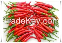 Fresh Chili, Vietnam fresh green - red chili, birds eye chili