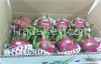 Fresh Dragon fruit