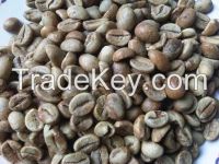 Robusta Java Coffee Greenbean