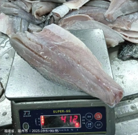 Halibut Fish