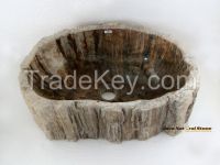 Fossil Wood Basins