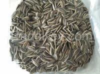 sunflower seeds in shell