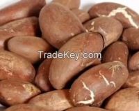 High quality bitter kola &amp; bitter kola powder