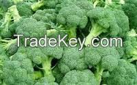 Fresh Broccoli