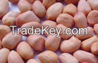 Raw Groundnut