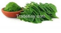 MORINGA LEAVESPRODUCT