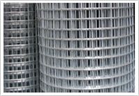 Galvanized Welded Wire Mesh