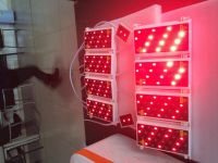 650+940nm lipo laser for body slimming, weight lose 