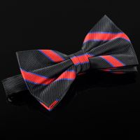 Fashion polyester bowtie