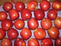 Fresh Fuji Apple Fruit , Fresh Strawberry