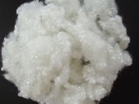 Polyester Fiber