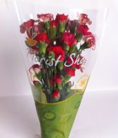 Select Mini Carnation