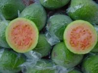 Lemons, Oranges, Pear, Lime, Avocado, Mango