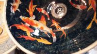 Koi carp wash basin.