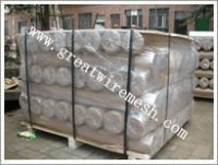 Stainless steel mesh