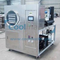 Pilot Freeze Dryer / Lyophilizer For Testing