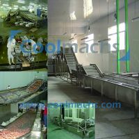 IQF Frozen Line For Shrimps And
