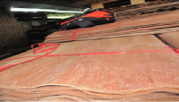 Keruing Core Veneer
