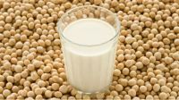 Organic soy milk powder