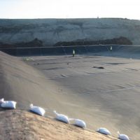 Geomembrane