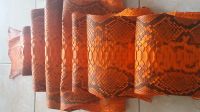 python snake skin hide